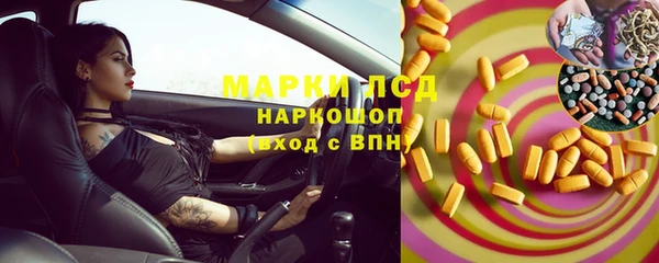 индика Нефтекумск