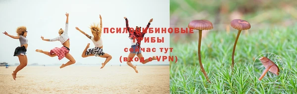 спайс Абдулино