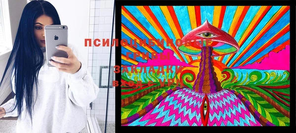 прущий лед Абаза